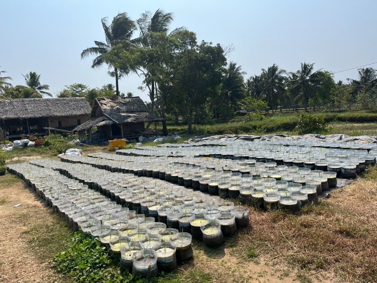Lahan Pertanian Terpadu